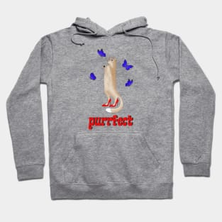 Purrfect - a cute cat in red shoes chasing butterflies Hoodie